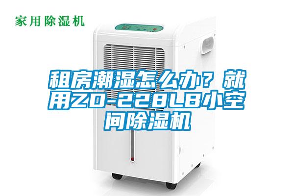 租房潮濕怎么辦？就用ZD-228LB小空間除濕機(jī)