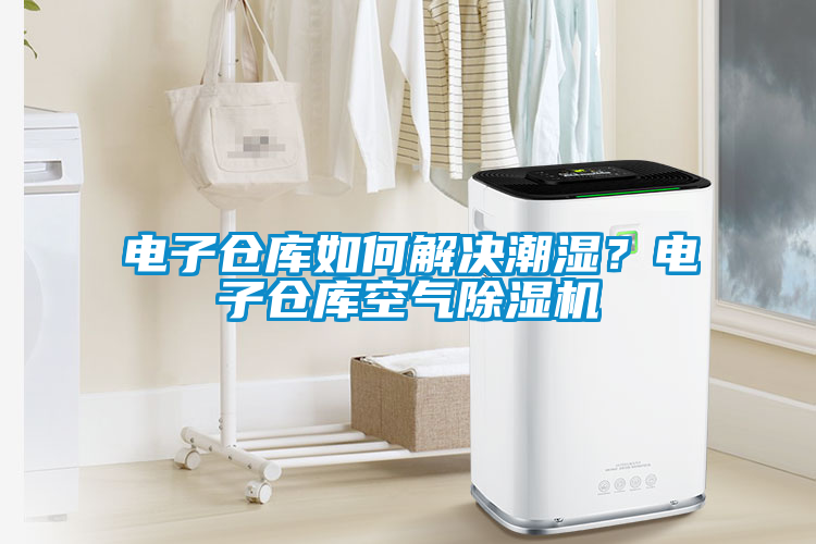 電子倉庫如何解決潮濕？電子倉庫空氣除濕機(jī)