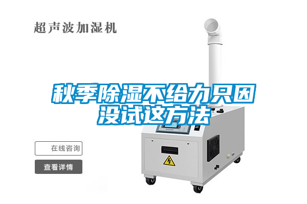 秋季除濕不給力只因沒試這方法