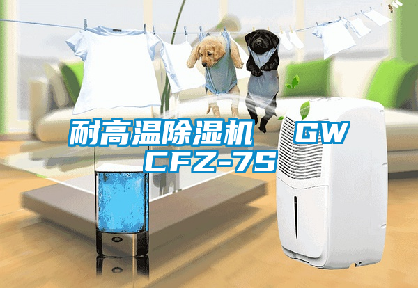 耐高溫除濕機(jī)  GWCFZ-7S