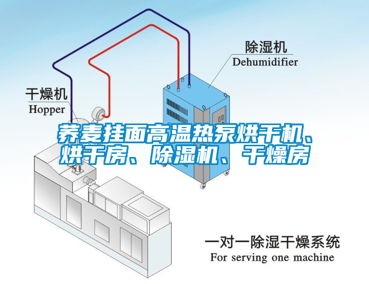 蕎麥掛面高溫?zé)岜煤娓蓹C(jī)、烘干房、除濕機(jī)、干燥房