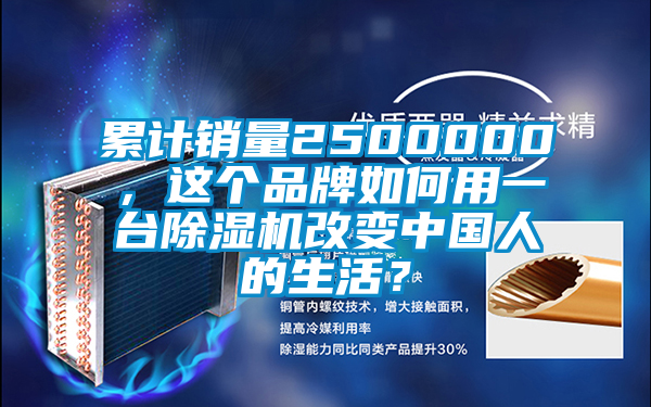 累計(jì)銷量2500000，這個品牌如何用一臺除濕機(jī)改變中國人的生活？