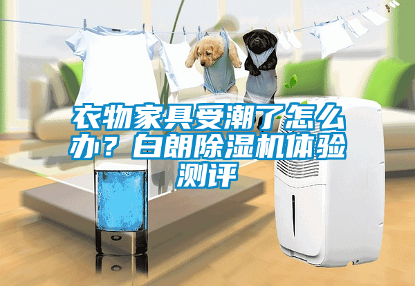 衣物家具受潮了怎么辦？白朗除濕機體驗測評