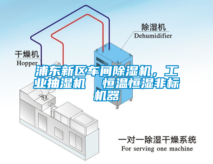 浦東新區(qū)車間除濕機(jī)，工業(yè)抽濕機(jī)  恒溫恒濕非標(biāo)機(jī)器