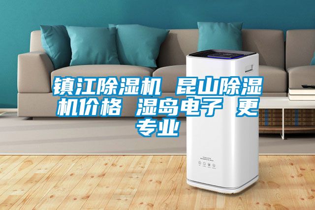 鎮(zhèn)江除濕機 昆山除濕機價格 濕島電子 更專業(yè)