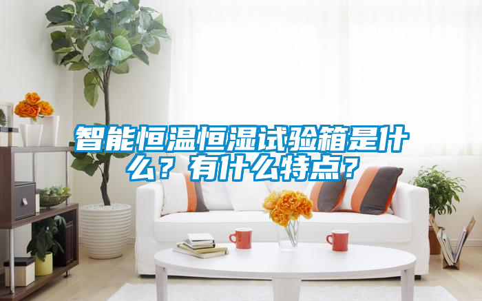 智能恒溫恒濕試驗(yàn)箱是什么？有什么特點(diǎn)？