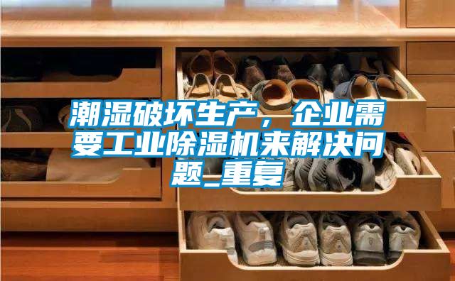 潮濕破壞生產，企業(yè)需要工業(yè)除濕機來解決問題_重復