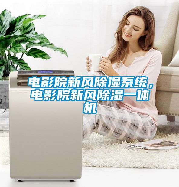 電影院新風除濕系統(tǒng)，電影院新風除濕一體機