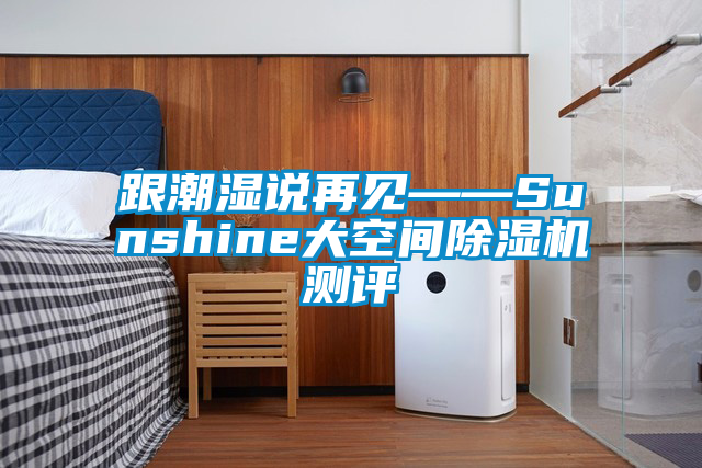 跟潮濕說(shuō)再見——Sunshine大空間除濕機(jī)測(cè)評(píng)