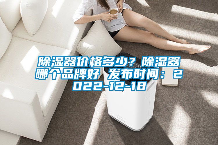 除濕器價(jià)格多少？除濕器哪個(gè)品牌好 發(fā)布時(shí)間：2022-12-18