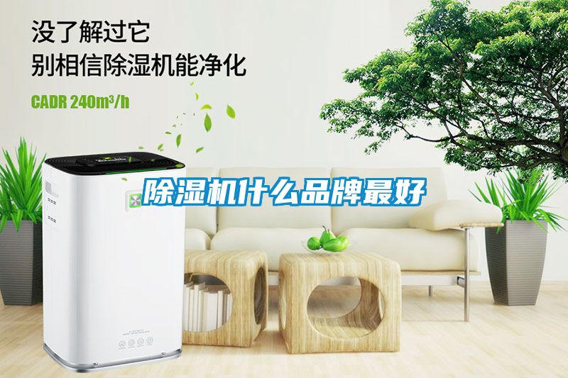 除濕機(jī)什么品牌最好