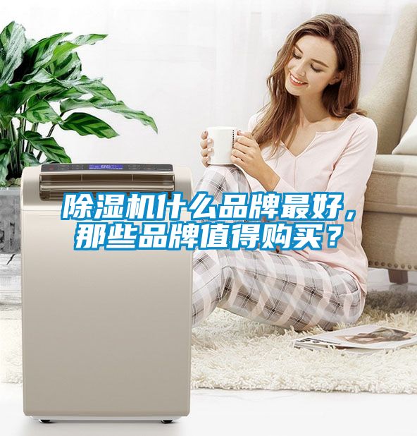 除濕機什么品牌最好，那些品牌值得購買？