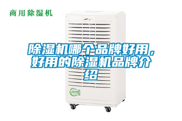 除濕機哪個品牌好用，好用的除濕機品牌介紹