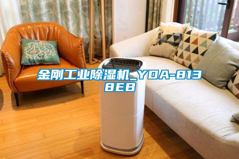 金剛工業(yè)除濕機_YDA-8138EB