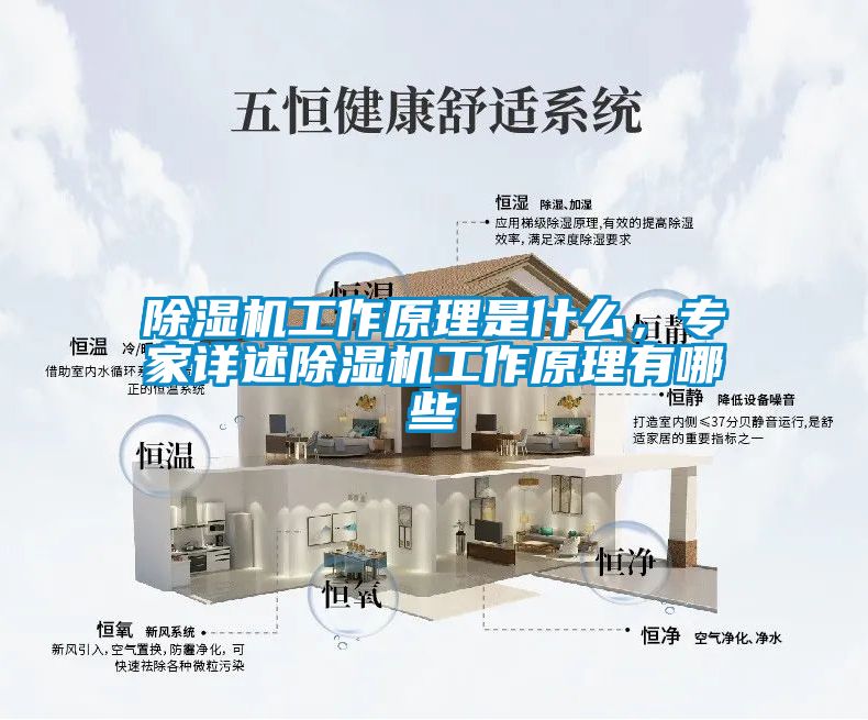 除濕機工作原理是什么，專家詳述除濕機工作原理有哪些