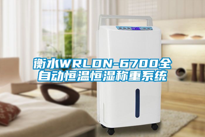 衡水WRLDN-6700全自動(dòng)恒溫恒濕稱(chēng)重系統(tǒng)