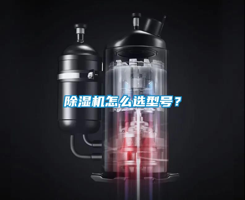 除濕機怎么選型號？