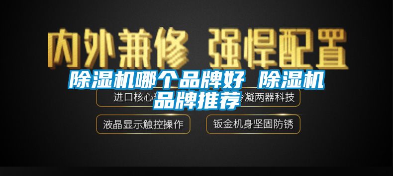 除濕機哪個品牌好 除濕機品牌推薦