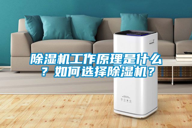 除濕機工作原理是什么？如何選擇除濕機？