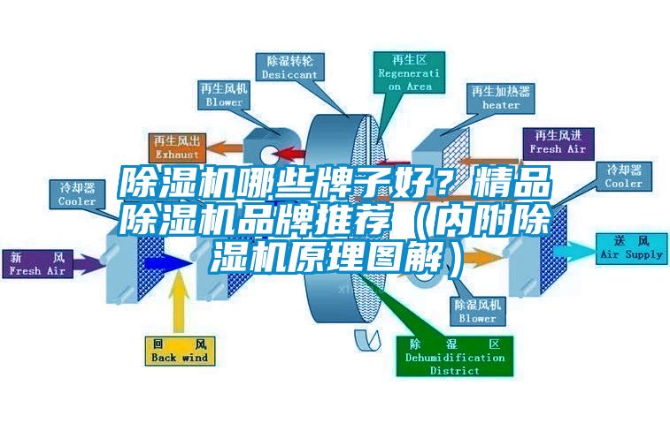 除濕機(jī)哪些牌子好？精品除濕機(jī)品牌推薦（內(nèi)附除濕機(jī)原理圖解）