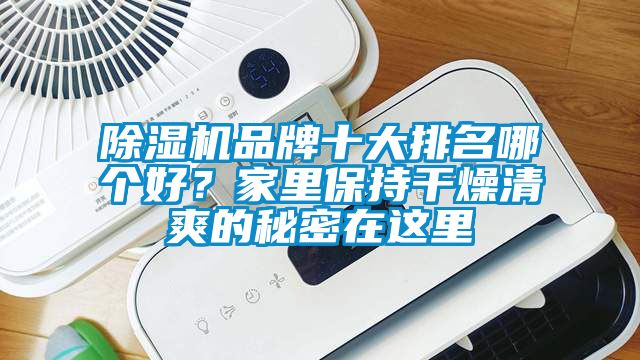 除濕機品牌十大排名哪個好？家里保持干燥清爽的秘密在這里