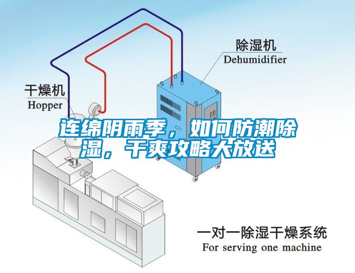 連綿陰雨季，如何防潮除濕，干爽攻略大放送