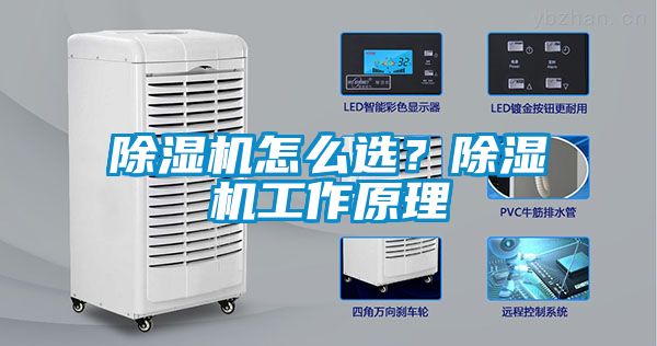 除濕機(jī)怎么選？除濕機(jī)工作原理