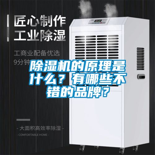 除濕機的原理是什么？有哪些不錯的品牌？