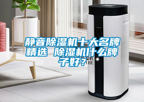 靜音除濕機十大名牌精選 除濕機什么牌子好？