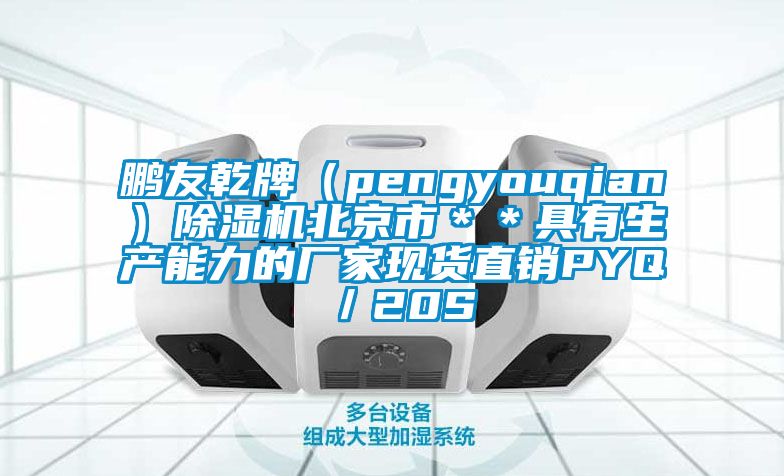 鵬友乾牌（pengyouqian）除濕機北京市＊＊具有生產能力的廠家現(xiàn)貨直銷PYQ／20S