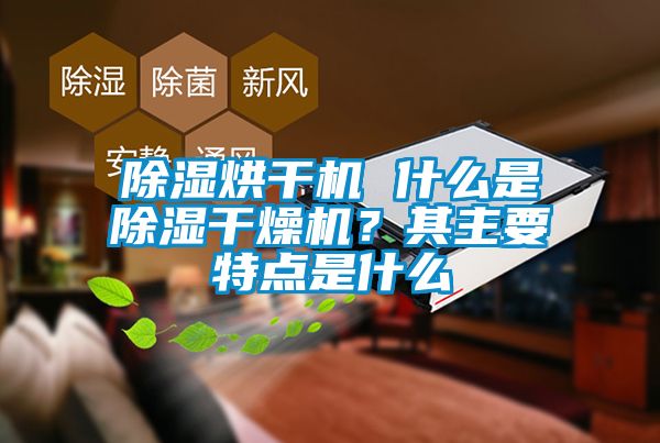 除濕烘干機 什么是除濕干燥機？其主要特點是什么