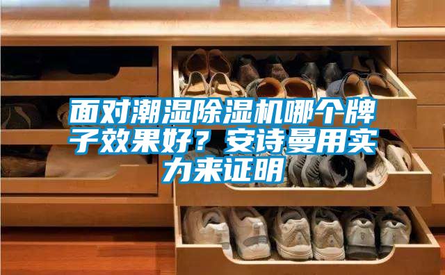 面對潮濕除濕機哪個牌子效果好？安詩曼用實力來證明